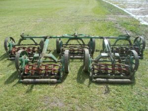 Lloyds Magna Gang Mowers U6599